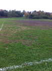 "grass" in Clark Field