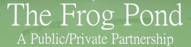 Frog Pond banner