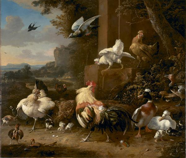 Melchoir d Hondecoeter Poultry Yard, National Gallery of Victoria, Australia
