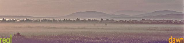Siberian Dawn Mist