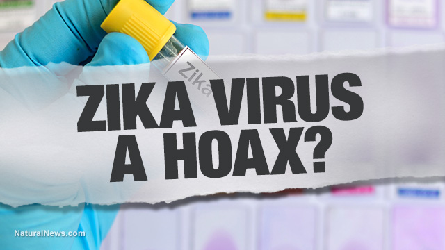 Zika-Virus-a-Hoax.jpg