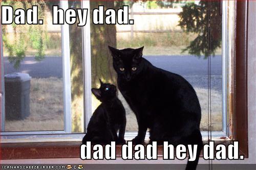 fathers_day_cat.jpg